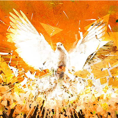 Search for the Holy Spirit in the Midst of Chaos -a