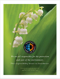 Environmental Sustainability and Catholic Health Care - Flyer