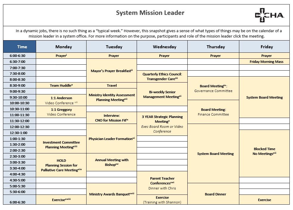 system_mission_leader