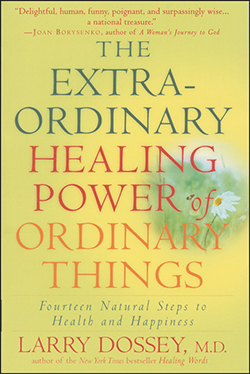Book Review-The Extra-Ordinary Healing Power of Ordinary Things