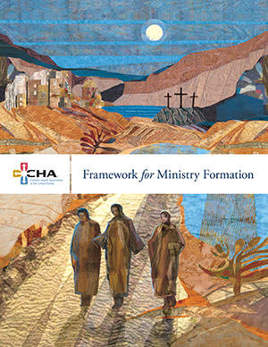 hpsum20 -Ministry Formation - Update on the Framework- Book Cover
