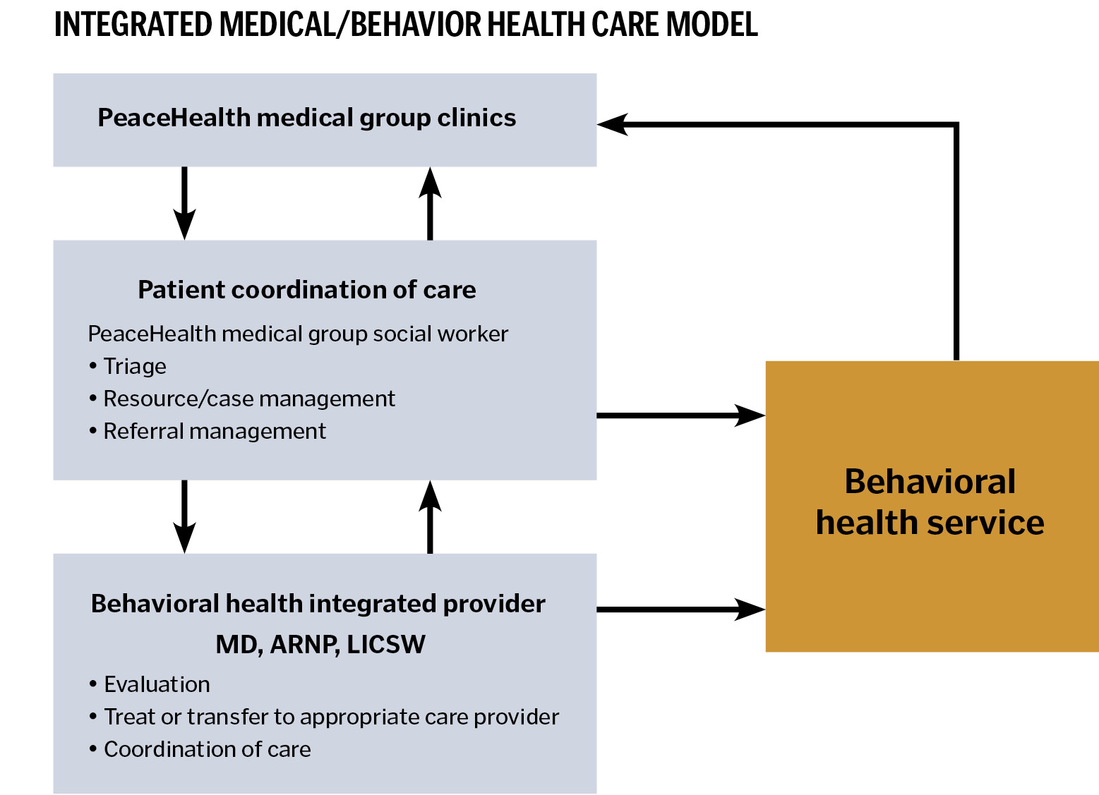 INTEGRATED MEDICAL/BEHAVIOR HEALTH CARE MODEL
