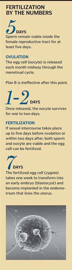 plan b 4 days before ovulation