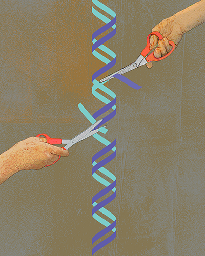 Reflecting on CRISPR Gene Editing-a