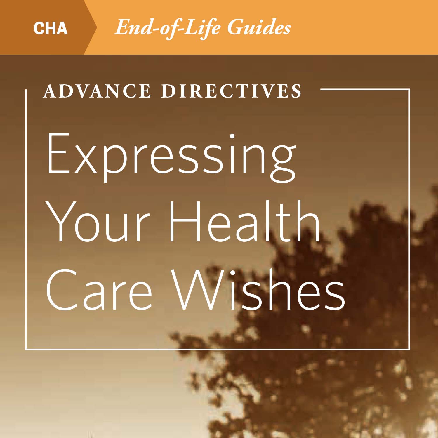 Advance Directives: Expressing Your Health Care Wishes