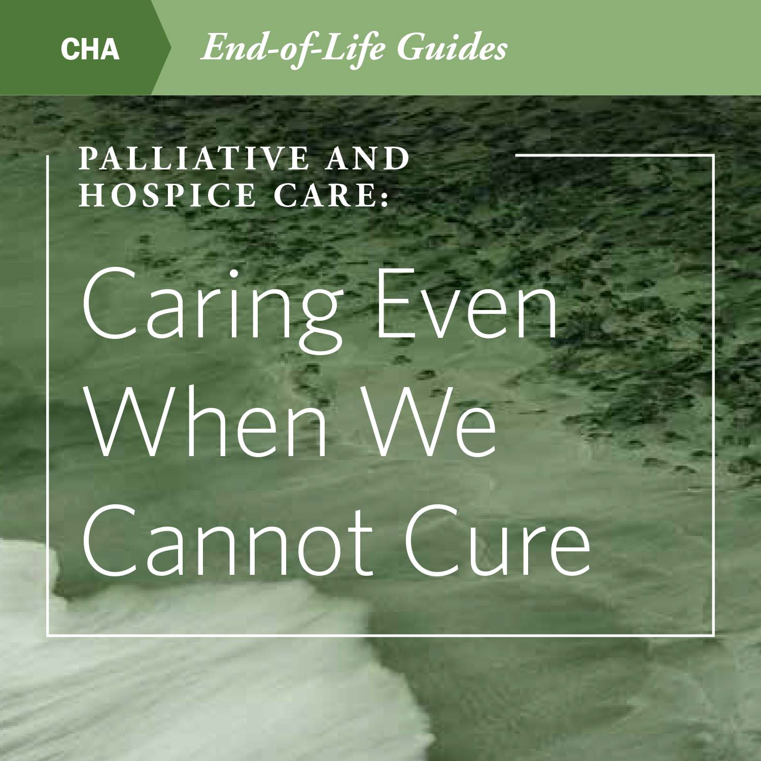 Palliative and Hospice Care: Caring Even When We Cannot Cure