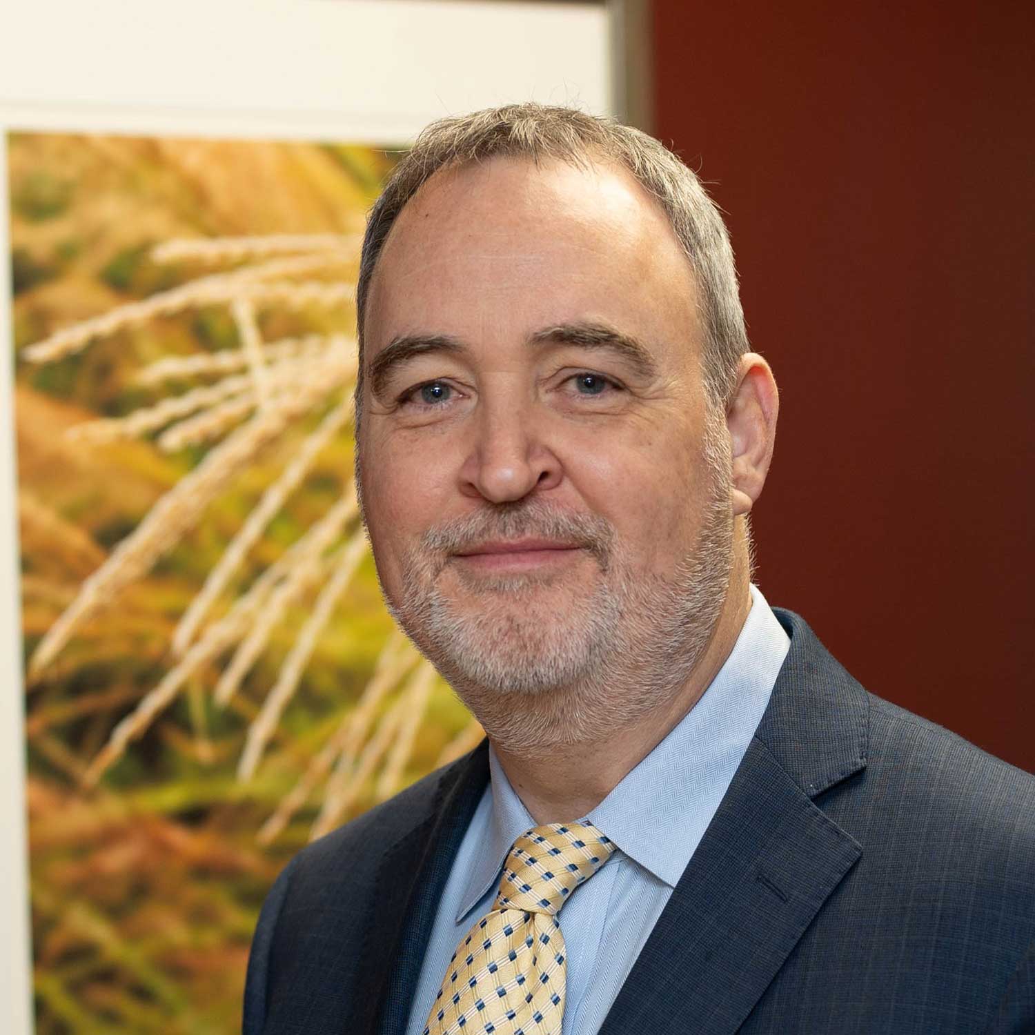 Diarmuid Rooney, M.S.Psych., M.T.S., D.Soc.Admin.