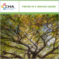 Mission Leader Prayer Card 2019