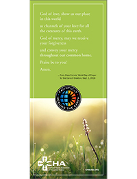 2017 Earth Day Reflection Card (Packs of 50)