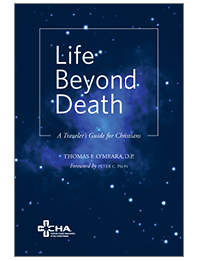 Life Beyond Death - A Traveler
